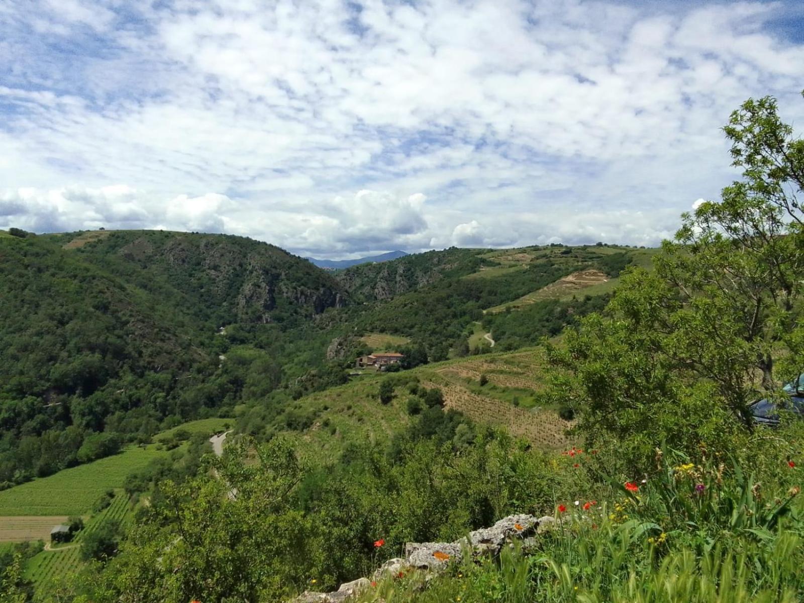 Gîtes de Revirand Sarras Exterior foto
