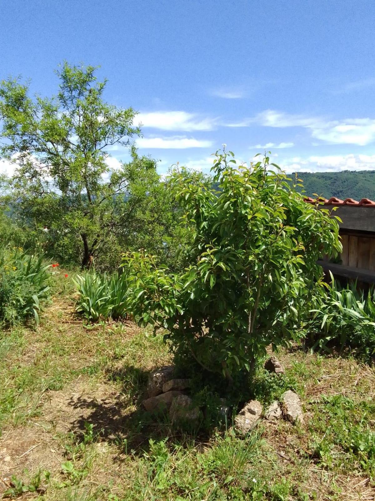 Gîtes de Revirand Sarras Exterior foto